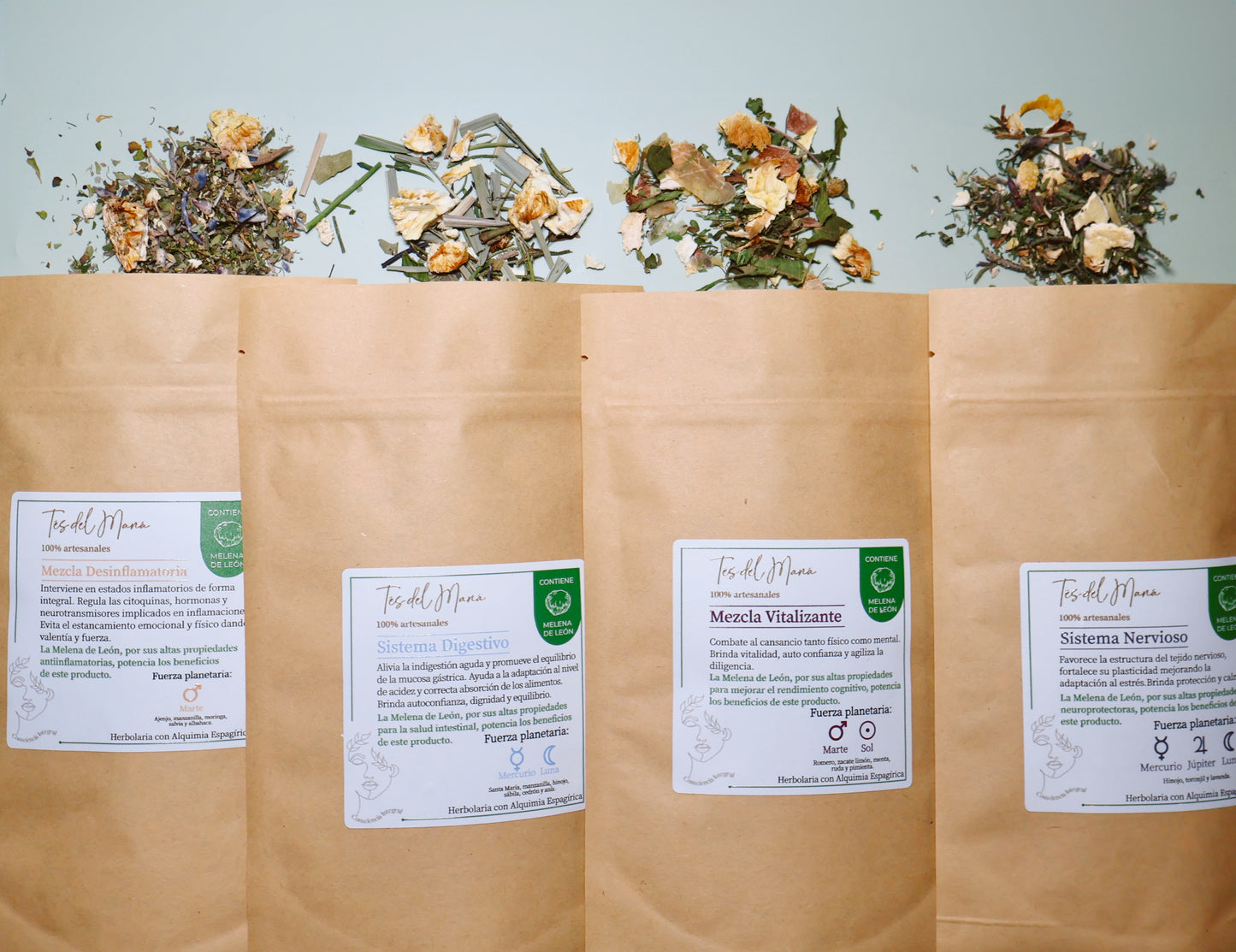 Infusiones con Melena de León